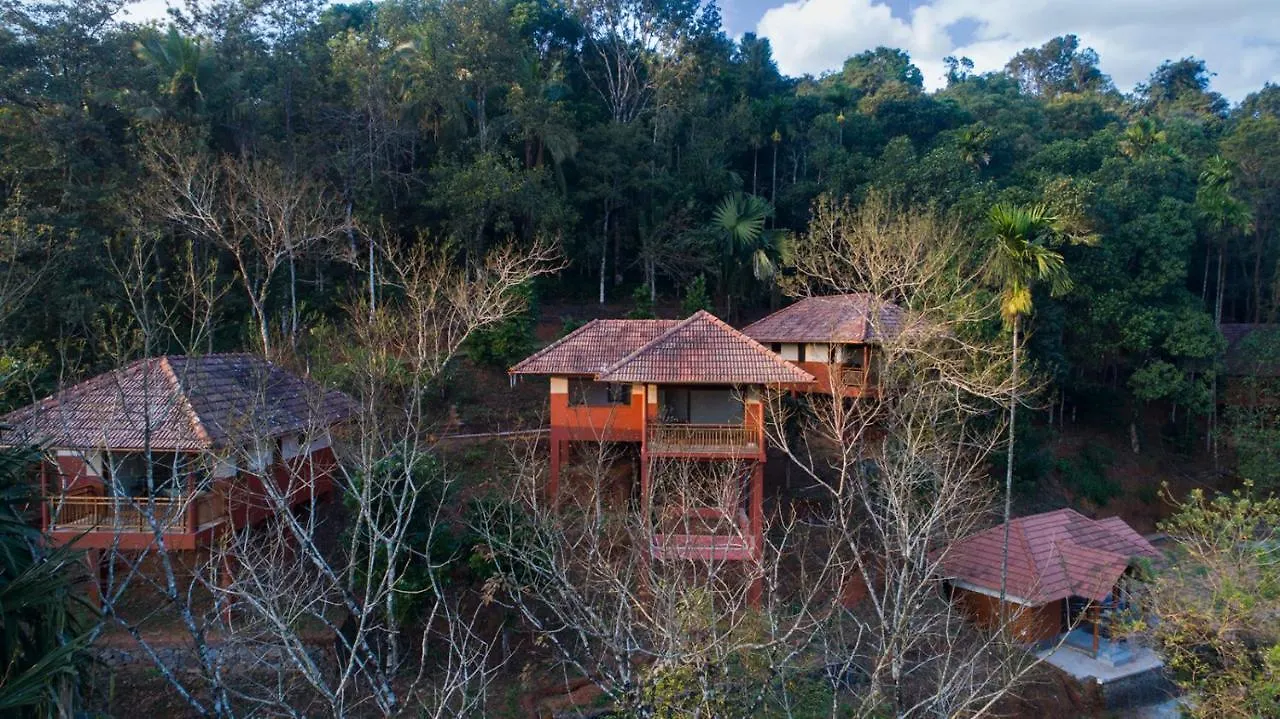 Terrace Resorts Wayanad