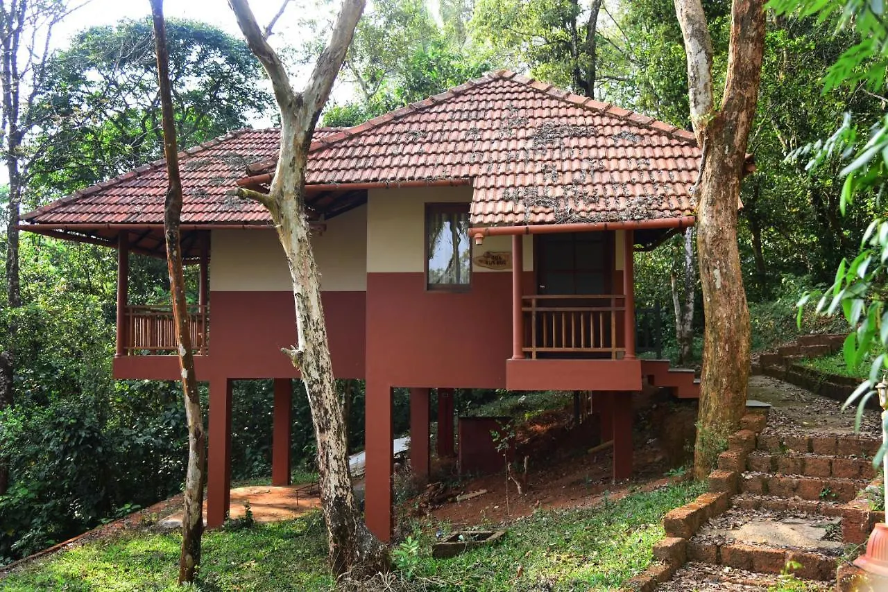 Terrace Resorts Wayanad