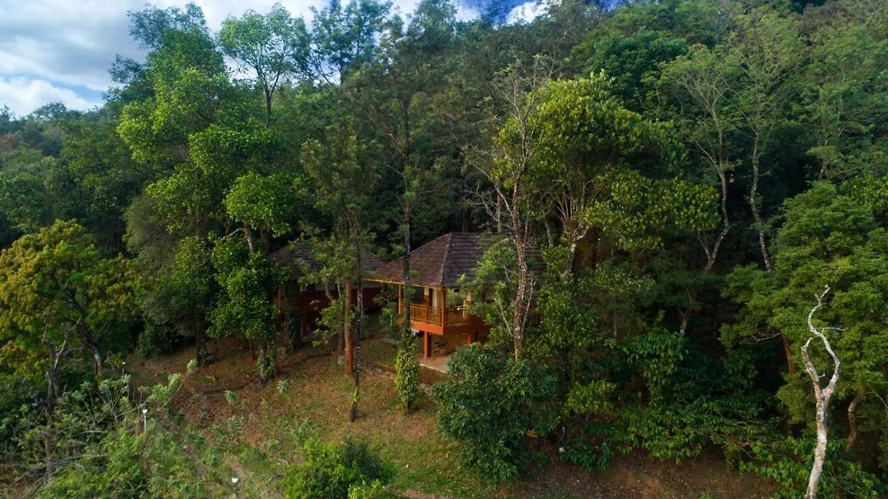 Terrace Resorts Wayanad