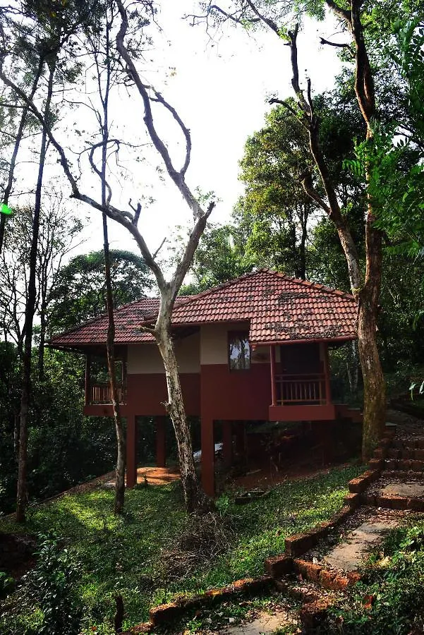 Terrace Resorts Wayanad
